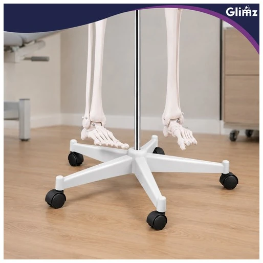 Human Skeleton - 170cm Glimz