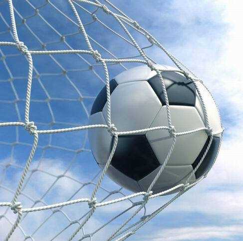 Futbolo vartų tinklas Netex 5x2x0,8x1,5m PE4mm (2vnt)