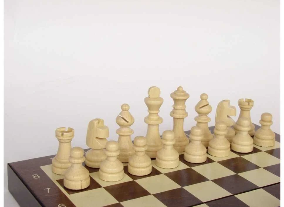 Provechess Magnetiniai šachmatai 200x100mm, karalius 48mm