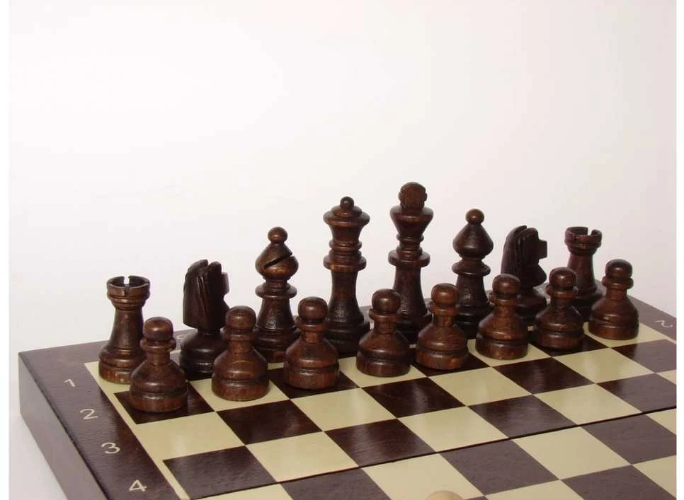 Provechess Magnetiniai šachmatai 200x100mm, karalius 48mm
