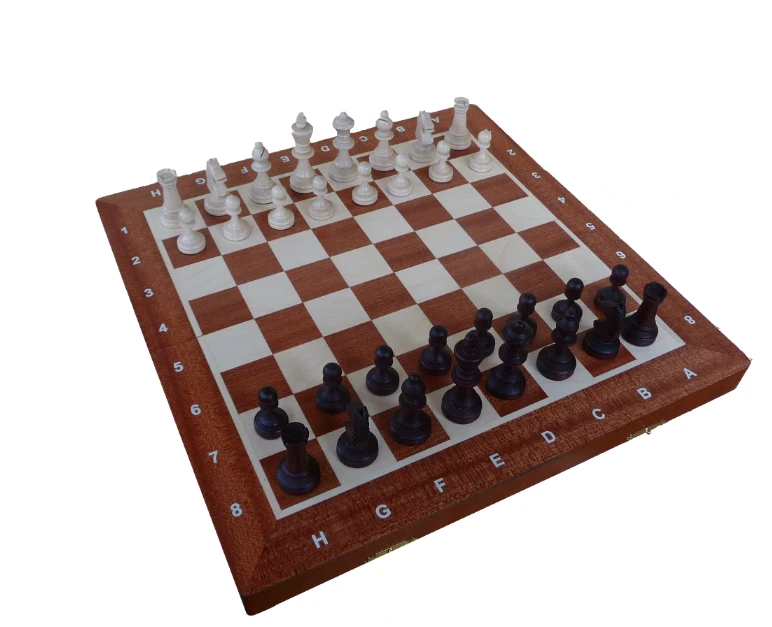 Provechess Magnetiniai šachmatai 350x175x50mm, karalius 65mm
