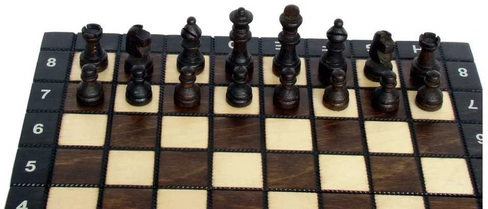 Provechess Magnetiniai šachmatai Magnetic School 260x130x40mm, karalius 50mm