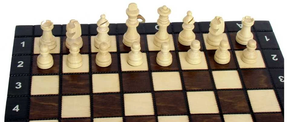 Provechess Magnetiniai šachmatai Magnetic School 260x130x40mm, karalius 50mm