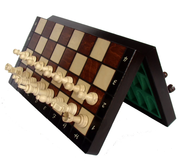 Provechess Magnetiniai šachmatai Magnetic Small 280x140x40mm, karalius 60mm