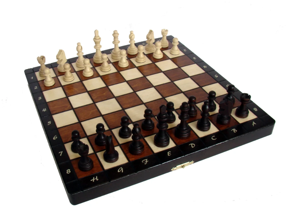 Provechess Magnetiniai šachmatai Magnetic Small 280x140x40mm, karalius 60mm