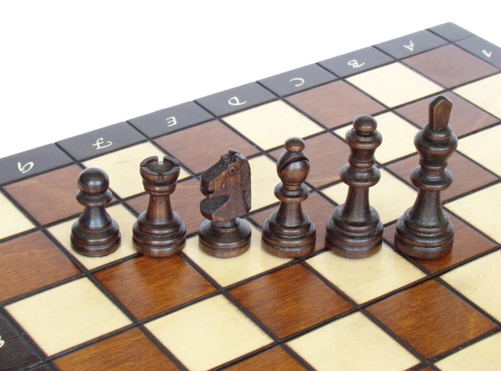 Provechess Magnetiniai šachmatai Magnetic Small 280x140x40mm, karalius 60mm