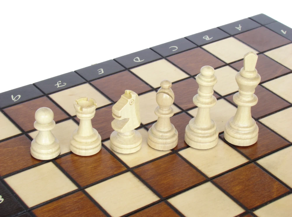 Provechess Magnetiniai šachmatai Magnetic Small 280x140x40mm, karalius 60mm