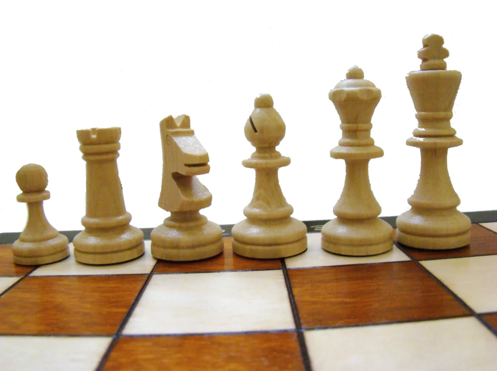 Provechess Magnetiniai šachmatai Magnetic Tournament 3 350x175x50mm, karalius 60mm