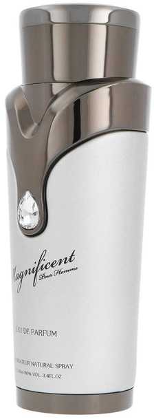 Armaf Magnificent EDP parfumuotas vanduo vyrams, 100 ml