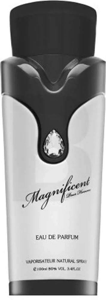 Armaf Magnificent EDP parfumuotas vanduo vyrams, 100 ml