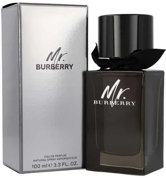 Burberry Mr. Burberry EDP parfumuotas vanduo vyrams, 100 ml