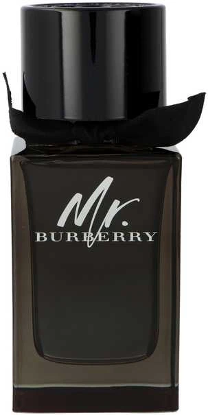 Burberry Mr. Burberry EDP parfumuotas vanduo vyrams, 100 ml