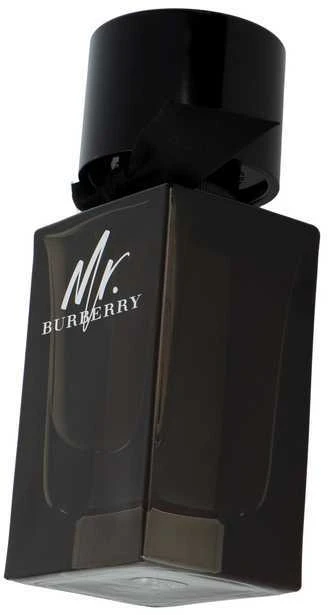 Burberry Mr. Burberry EDP parfumuotas vanduo vyrams, 100 ml