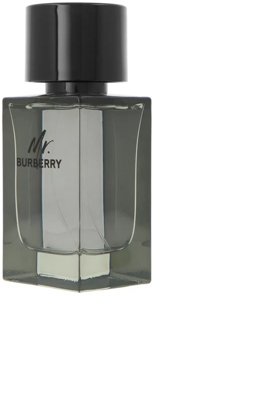 Mr Burberry EDT tualetinis vanduo unisex, 100 ml