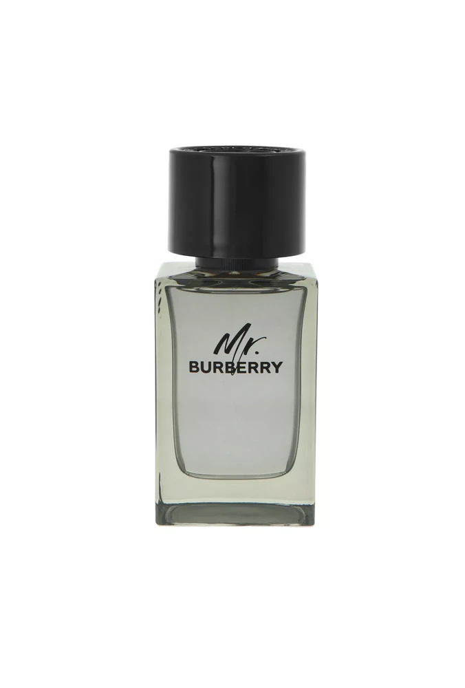 Mr Burberry EDT tualetinis vanduo unisex, 100 ml