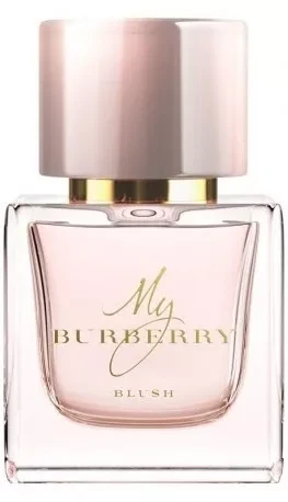 Burberry Blush EDP parfumuotas vanduo moterims, 50 ml