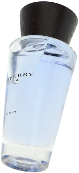 Kvepalai vyrams Burberry Touch EDT, 100 ml