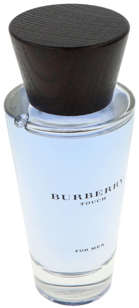 Kvepalai vyrams Burberry Touch EDT, 100 ml