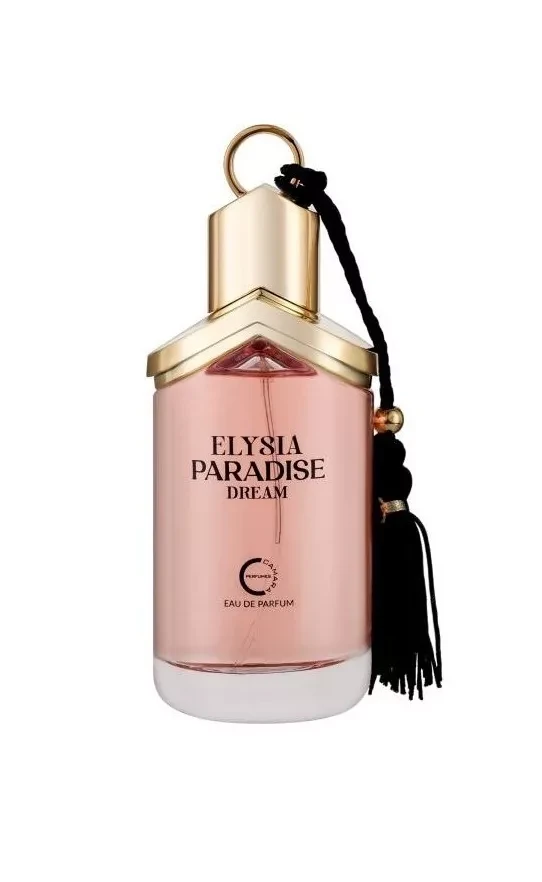 Camara Elysia Paradise Dream EDP parfumuotas vanduo moterims, 100 ml