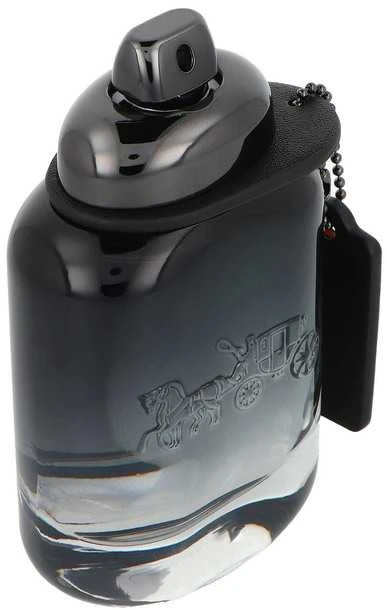 Kvepalai vyrams Coach For Men EDT, 60 ml