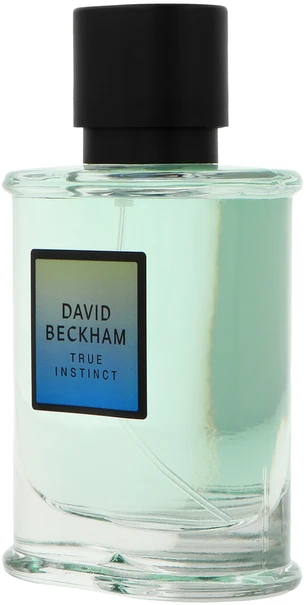 David Beckham True Instinct EDP parfumuotas vanduo vyrams, 75 ml