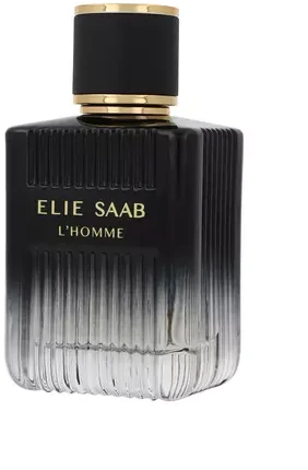 Flacon Elie Saab L`Homme EDP 100ml