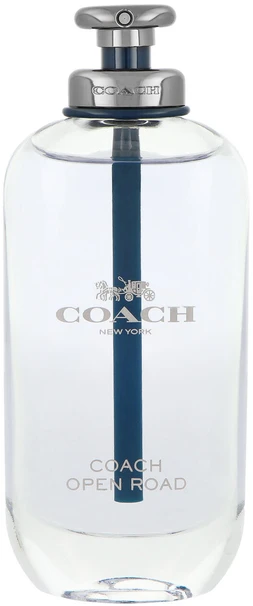 Kvepalai vyrams Coach Open Road EDT, 100 ml