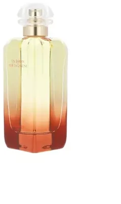 Flakon Hermes Jardin Un Jardin Sur La Lagune EDT 100ml