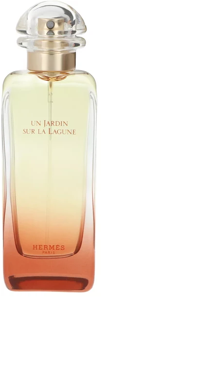 Flakon Hermes Jardin Un Jardin Sur La Lagune EDT 100ml