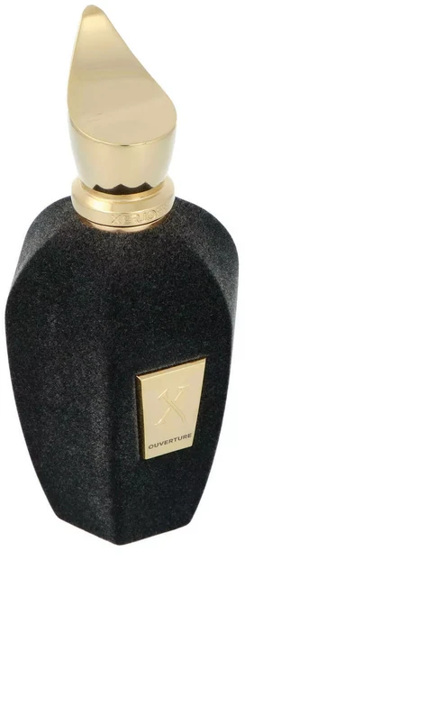Flakon Xerjoff Vibe Collection Ouverture EDP 100ml