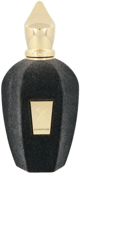 Flakon Xerjoff Vibe Collection Ouverture EDP 100ml