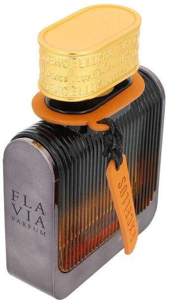 Flavia Parfum Flavia Excellus First Pour Homme EDP parfumuotas vanduo vyrams, 100 ml