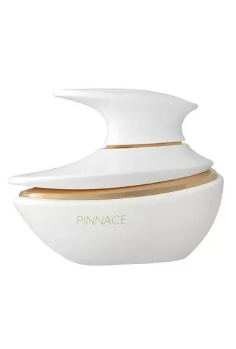 French Avenue Pinnace EDP parfumuotas vanduo vyrams, 100 ml