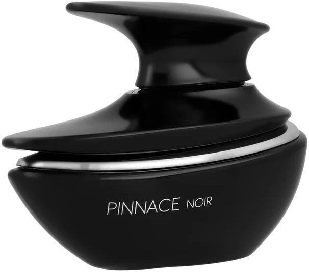 French Avenue Pinnace Noir EDP parfumuotas vanduo vyrams, 100 ml
