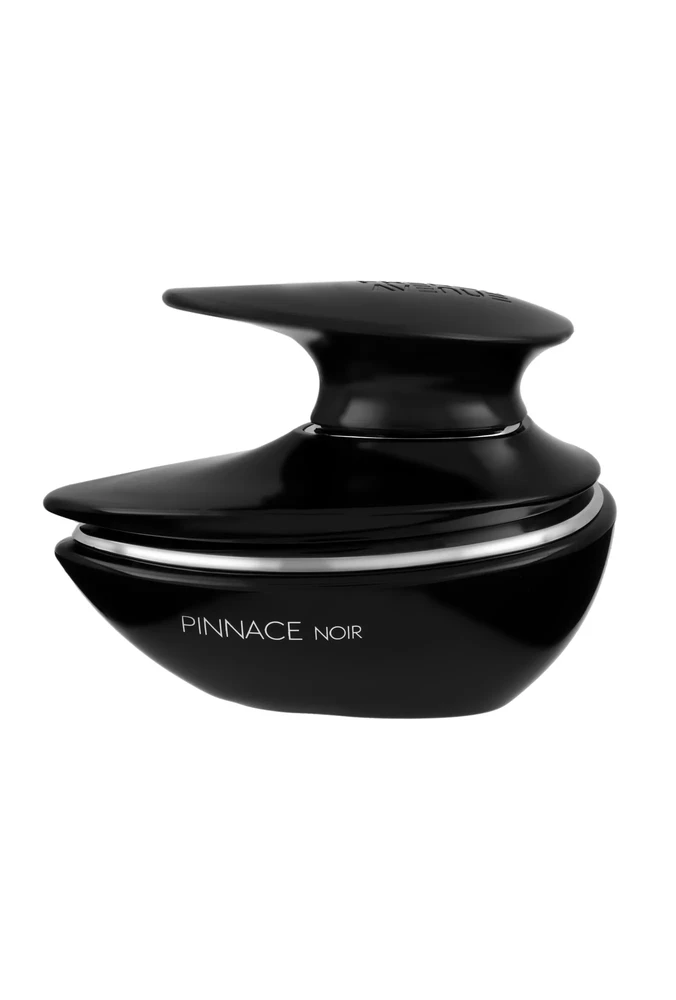 French Avenue Pinnace Noir EDP parfumuotas vanduo vyrams, 100 ml