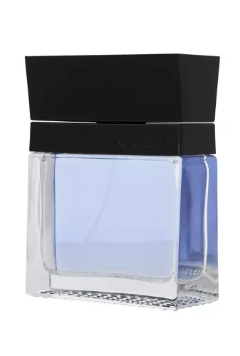 Guess Seductive Homme EDT tualetinis vanduo vyrams, 100 ml