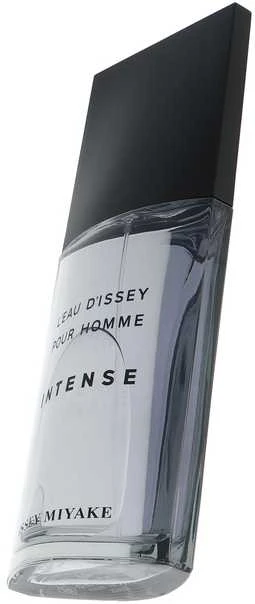 Kvepalai vyrams Issey Miyake L'Eau D'Issey Intense EDT, 125 ml