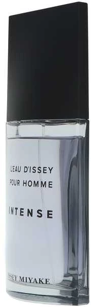 Kvepalai vyrams Issey Miyake L'Eau D'Issey Intense EDT, 125 ml