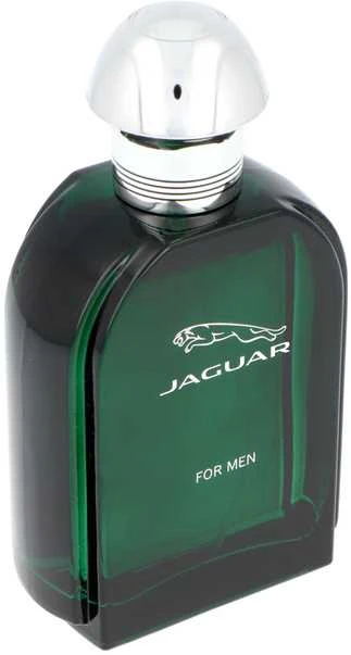Kvepalai vyrams Jaguar For Men EDT, 100 ml