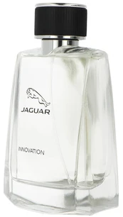 Jaguar Innovation Vyriškas tualetinis vanduo 100ml