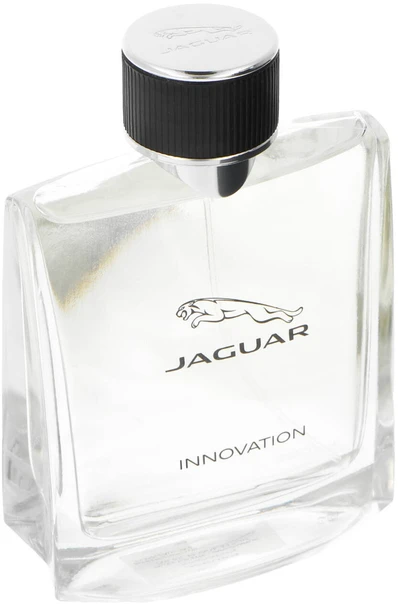 Jaguar Innovation Vyriškas tualetinis vanduo 100ml