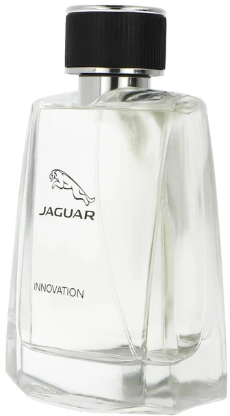 Jaguar Innovation Vyriškas tualetinis vanduo 100ml