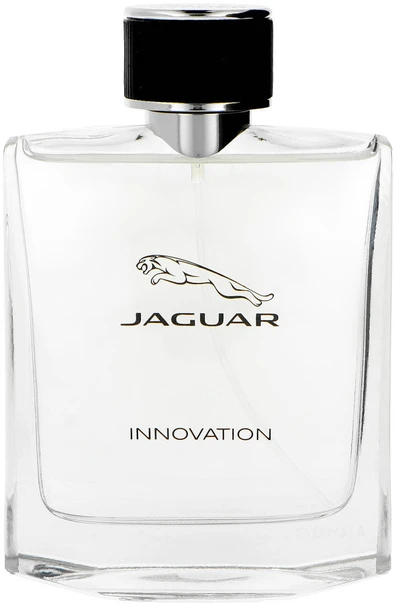 Jaguar Innovation Vyriškas tualetinis vanduo 100ml