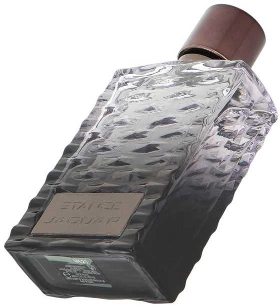 Jaguar Stance EDT tualetinis vanduo vyrams, 100 ml