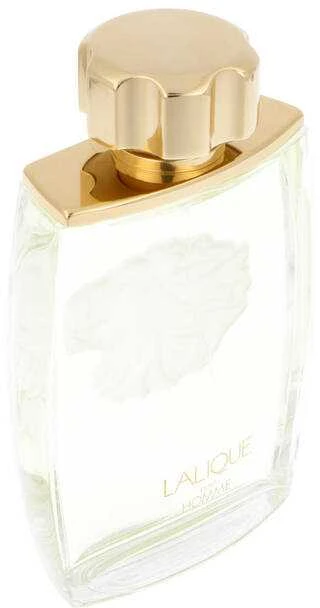 Lalique Pour Homme Lion for Men (Kvepalai Vyrams) EDP 125ml