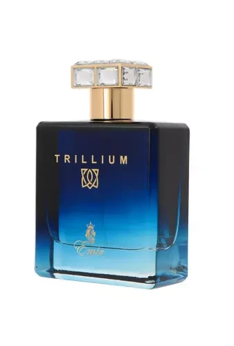 Emir Trillium EDP parfumuotas vanduo vyrams, 100 ml