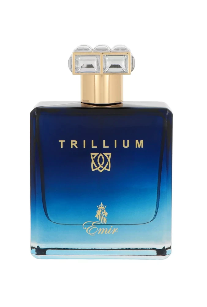 Emir Trillium EDP parfumuotas vanduo vyrams, 100 ml