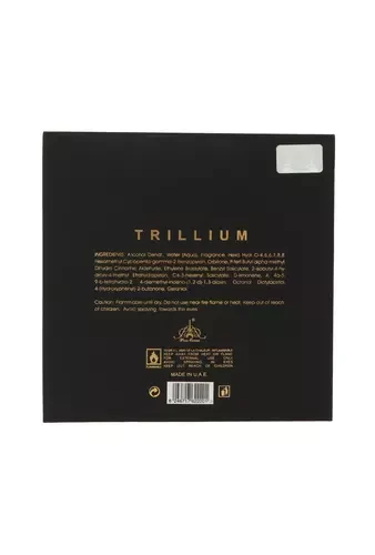 Emir Trillium EDP parfumuotas vanduo vyrams, 100 ml