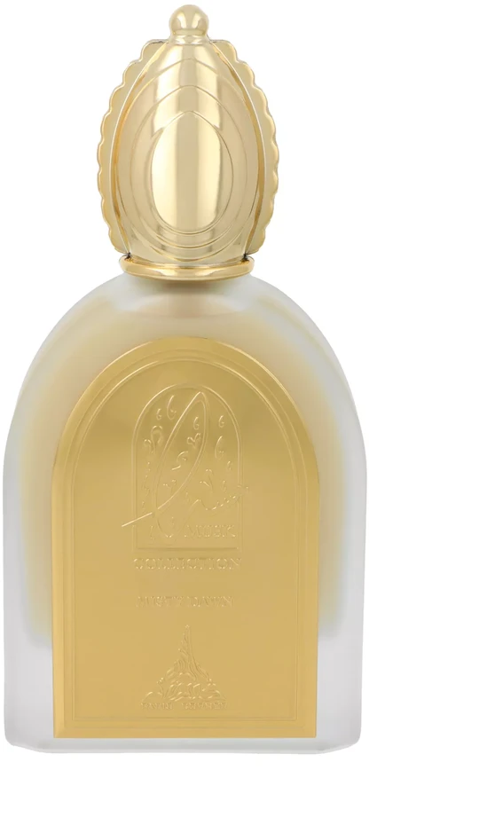 Paris Corner Misty Dawn EDP parfumuotas vanduo unisex, 100 ml