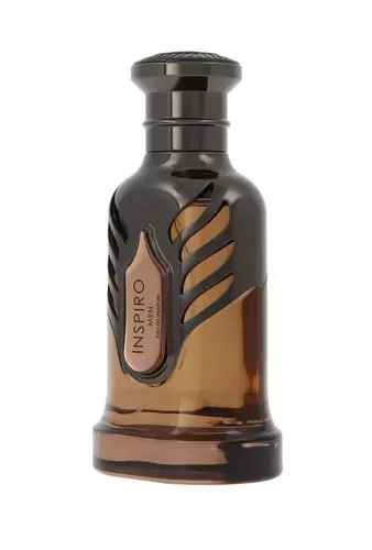 Riiffs Inspiro Men EDP parfumuotas vanduo vyrams, 100 ml